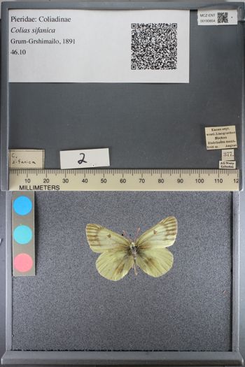 Media type: image;   Entomology 193854